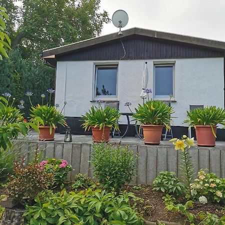 Ferienhaus Appold Wernigerode Exteriör bild