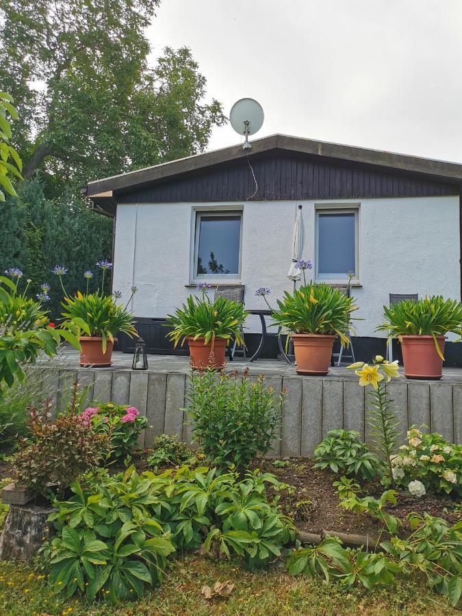 Ferienhaus Appold Wernigerode Exteriör bild